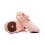 Ballet Training Shoes BLX004 Ballet Training Shoes
