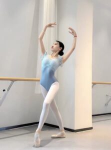 Adult ballet shoes